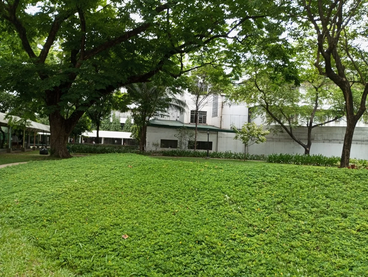University of the East in Manila - Ask AI | mindtrip