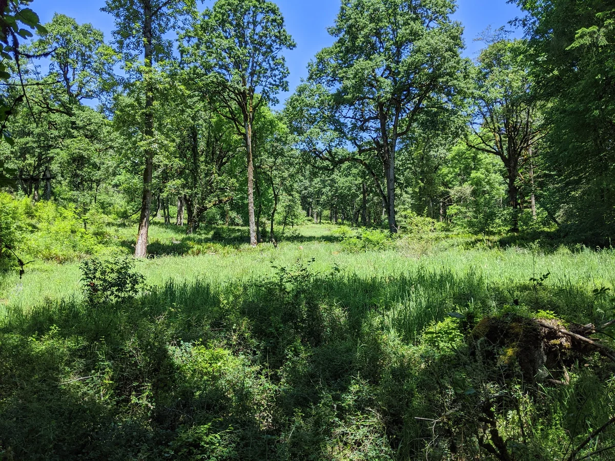 Mount Talbert Nature Park in Happy Valley | Ask Anything