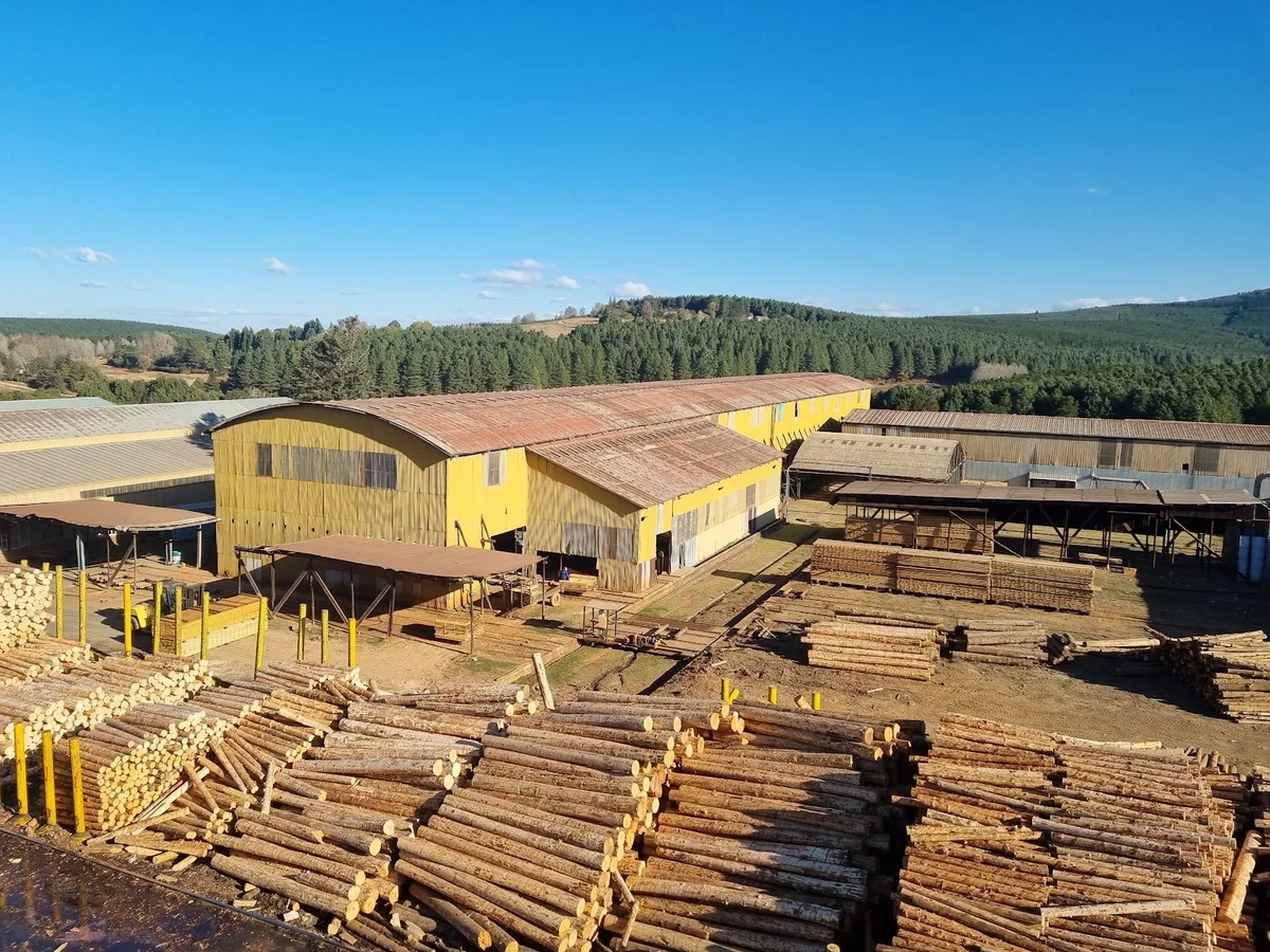 Merensky Timber Weza Sawmill in Harding - Ask AI | mindtrip