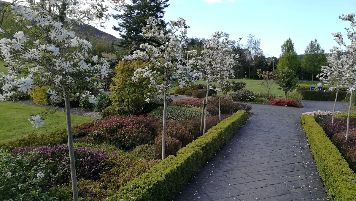 Holy Cross Abbey in Rostrevor - Ask AI | mindtrip