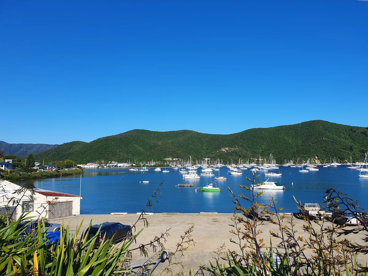 Waikawa Bay Holiday Park in Waikawa | Ask Anything