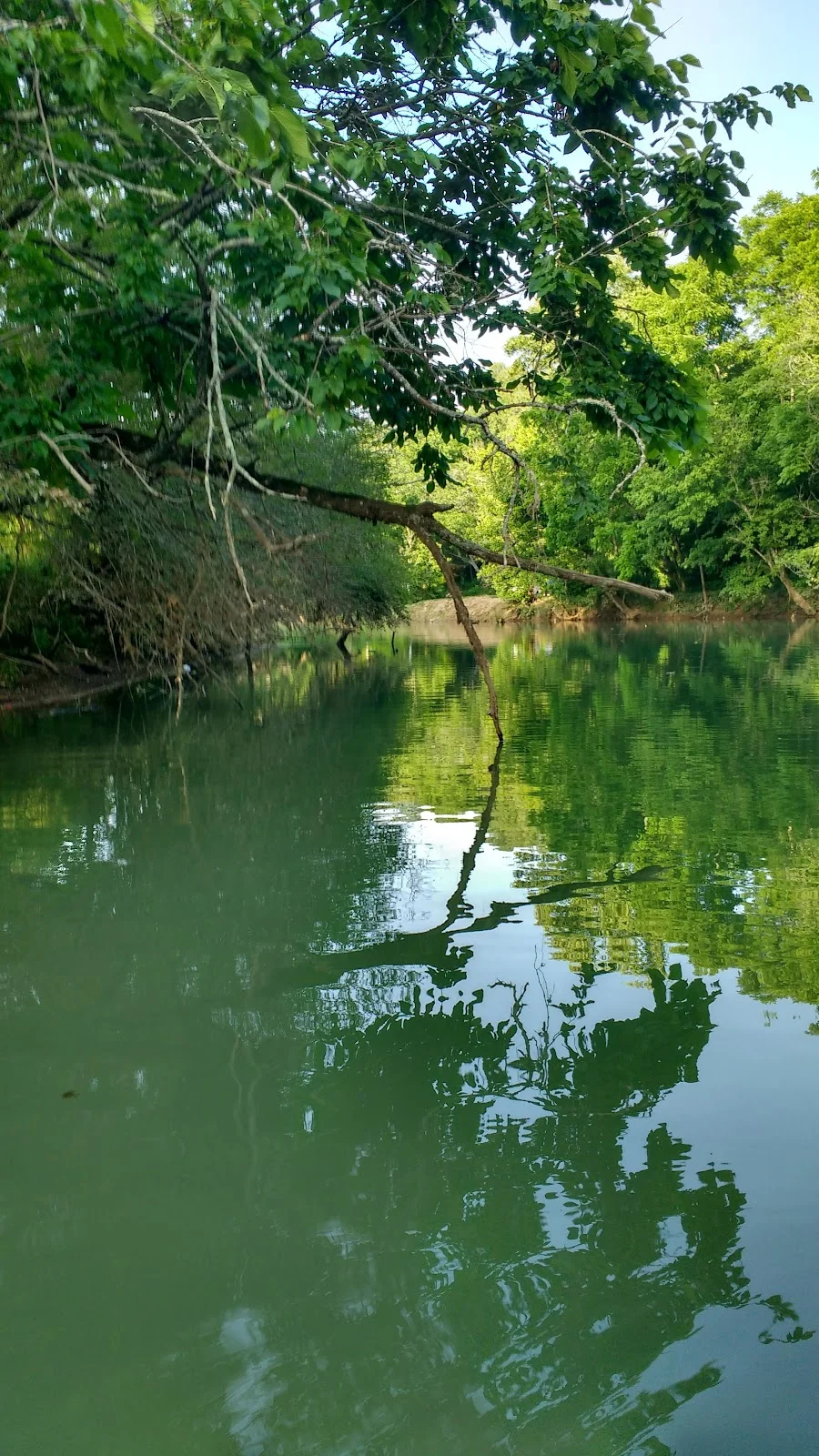 Blackburn Fork State Scenic River - Ask AI | mindtrip