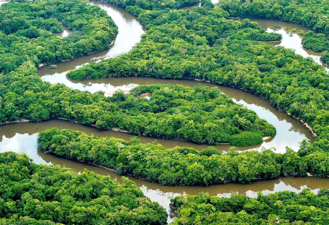 Floresta Nacional de Tefé - FLONA196 DE TEFÉ