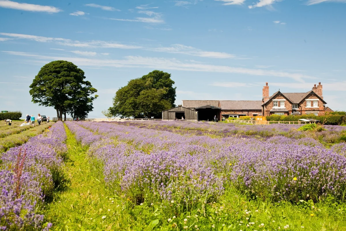 Inglenook Farm in St Helens | What to Know Before You Go