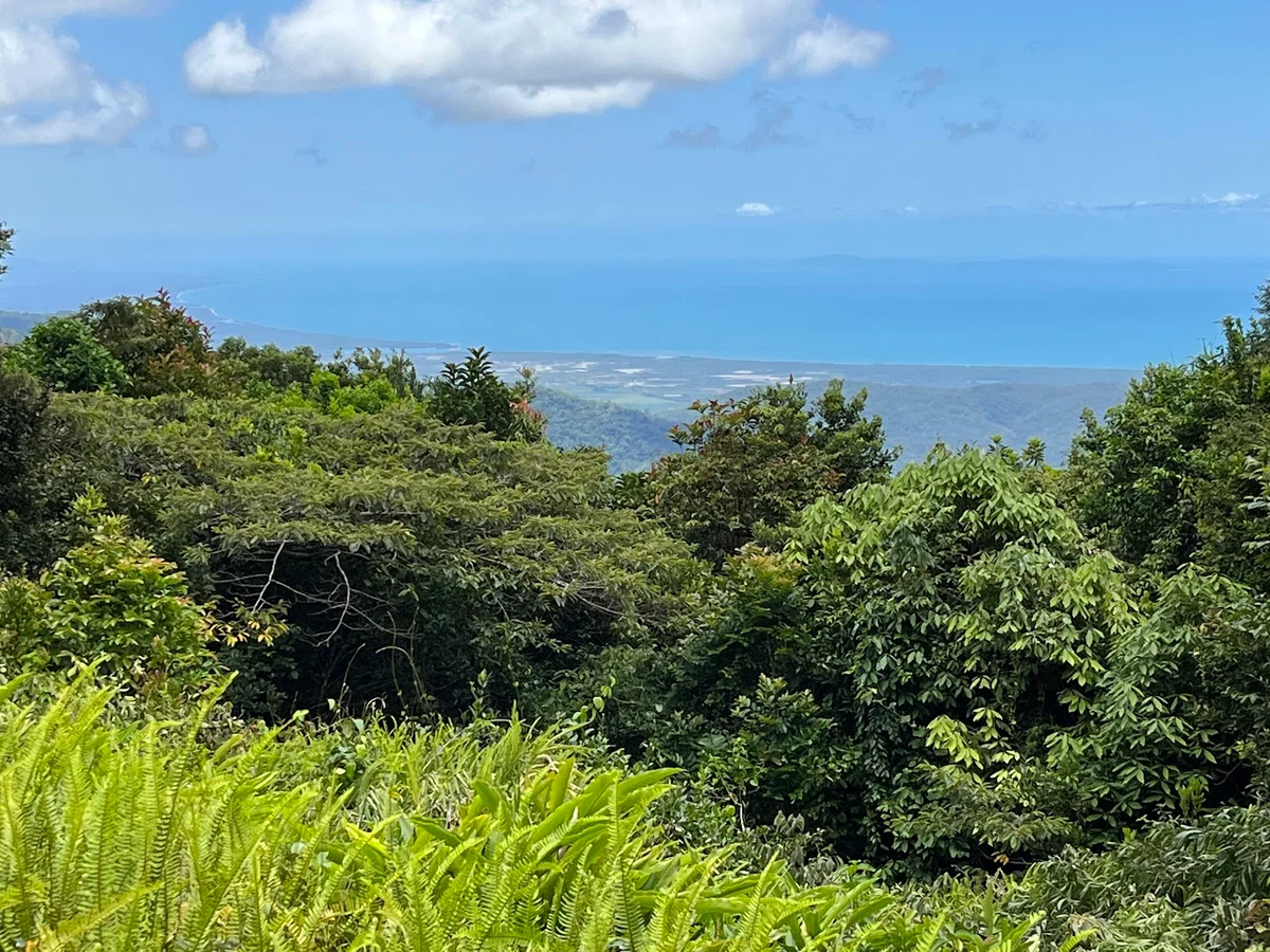 McClellands Lookout in Mutarnee - Ask AI | mindtrip