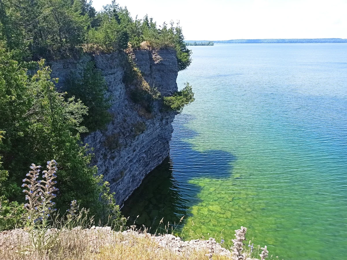 Little Bluff Conservation Area - Ask AI | mindtrip