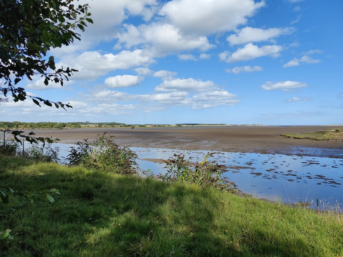 Eden Estuary Centre in Guardbridge - Ask AI | mindtrip