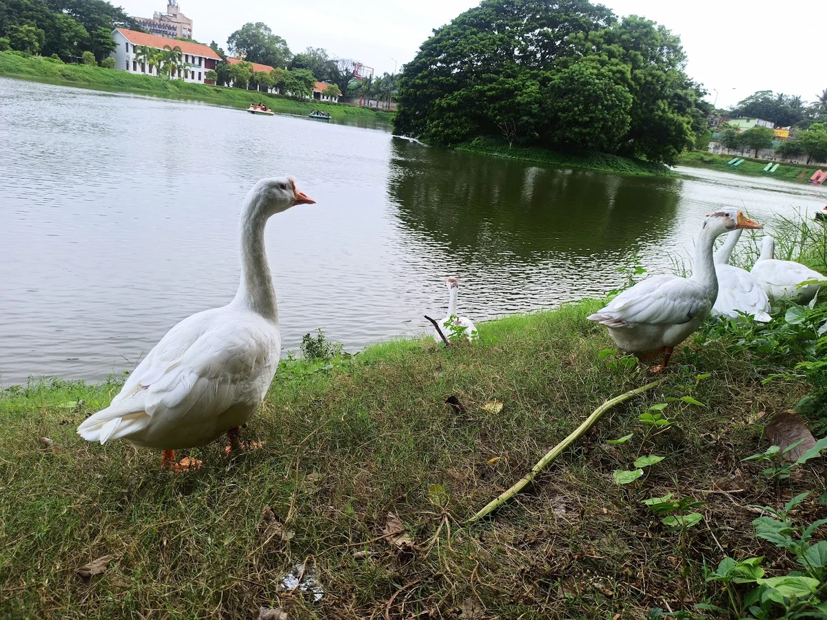 Chetpet EcoPark | What to Know Before You Go