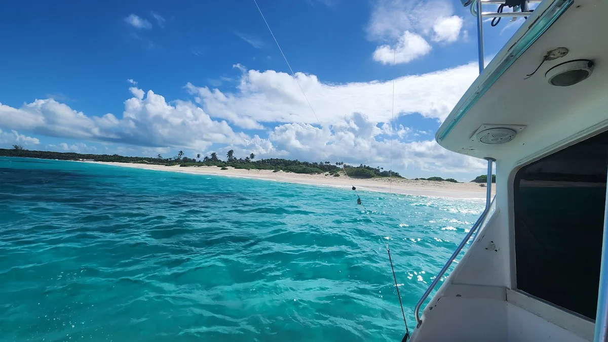 Hunter Charters in Nassau & Paradise Island | Ask Anything
