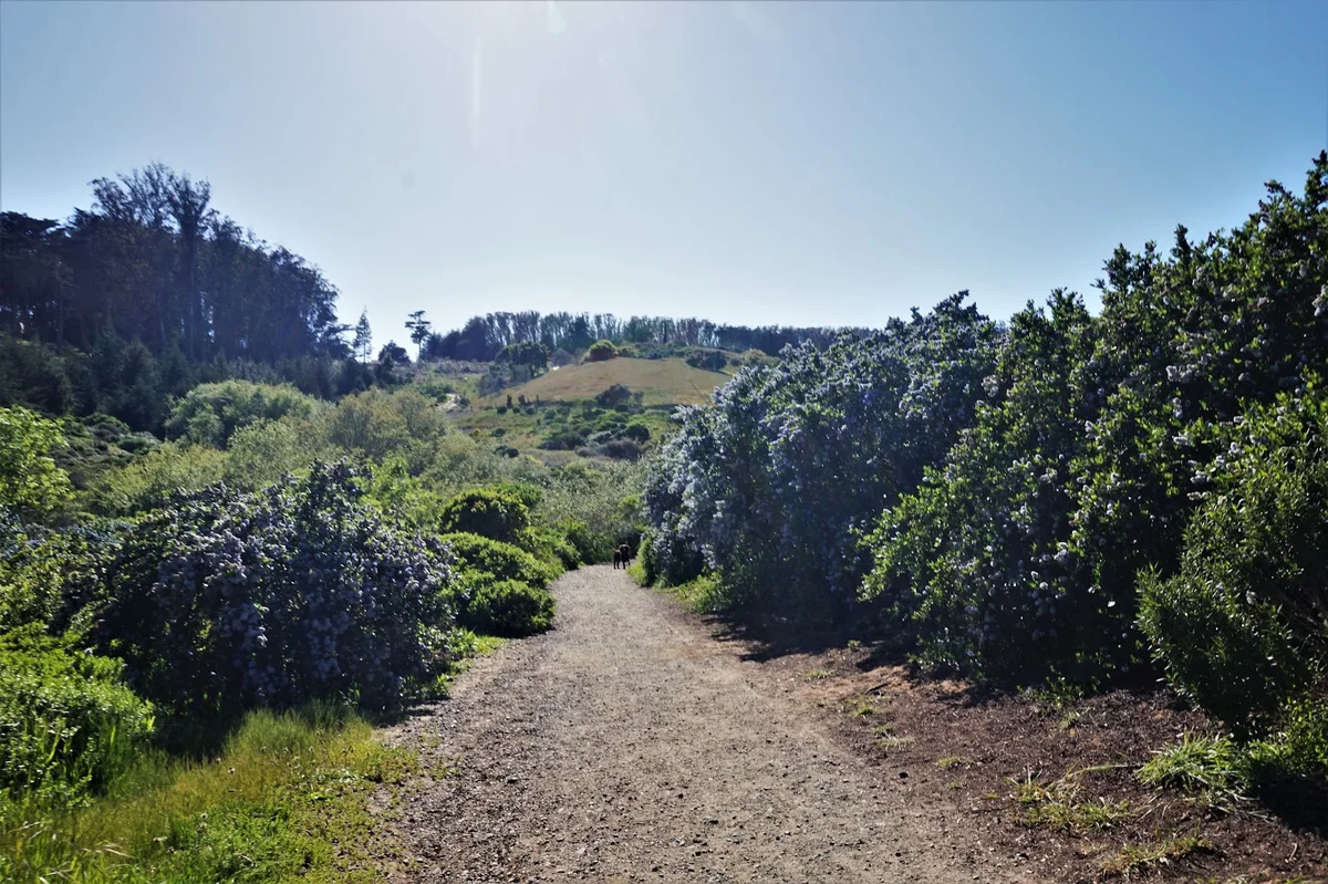 El Polin Spring in San Francisco - Ask AI | mindtrip