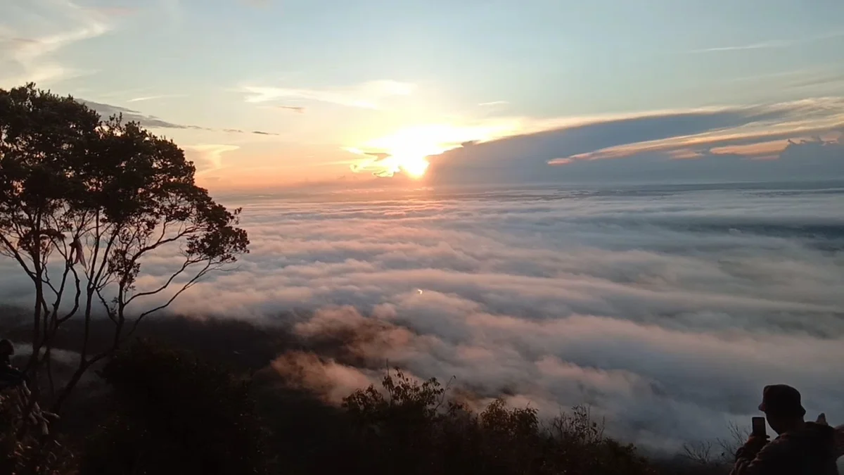 Gunung Rego in Kalimantan Utara | Ask Anything