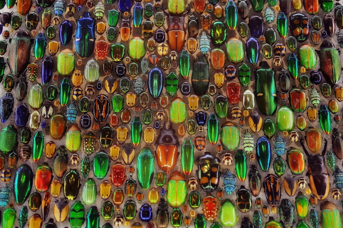 Montreal Insectarium in Montreal, Canada - Ask AI | mindtrip