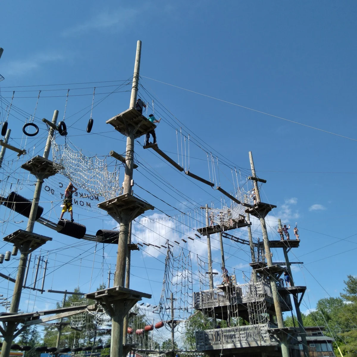 Monkey C Monkey Do in Wiscasset | What to Know Before You Go