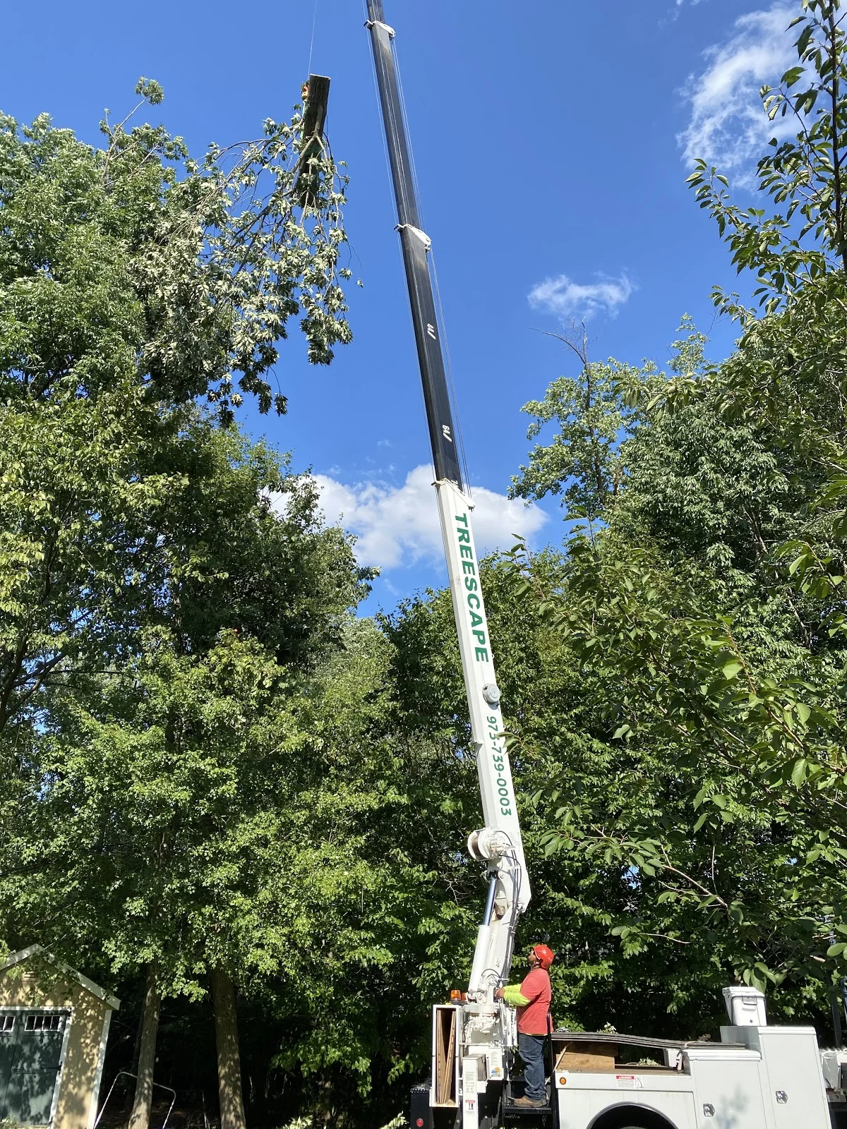 Treescape Services LLC in East Hanover - Ask AI | mindtrip
