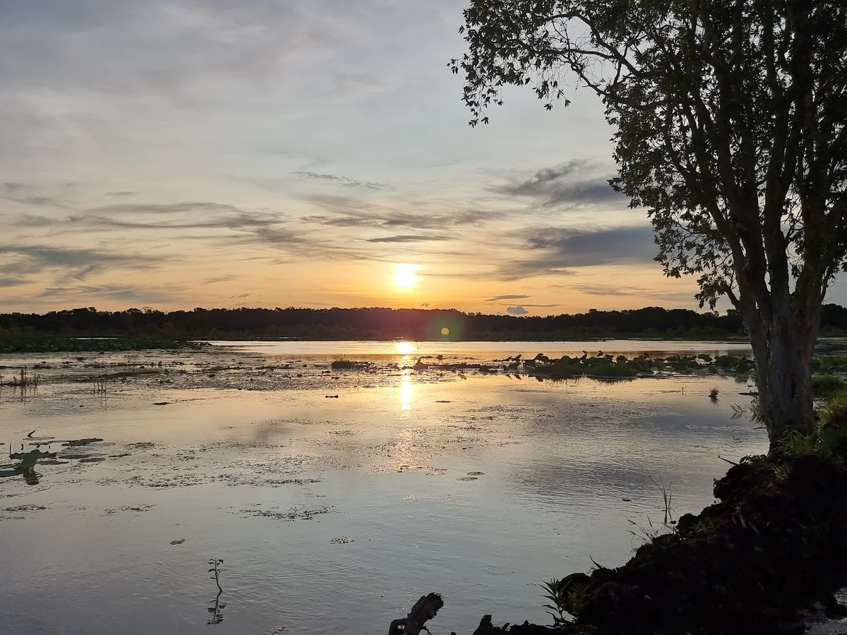 Fogg Dam in Northern Territory | Ask Anything