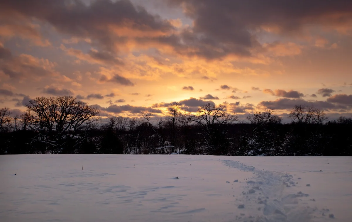 Anoka Nature Preserve in Anoka | What to Know Before You Go