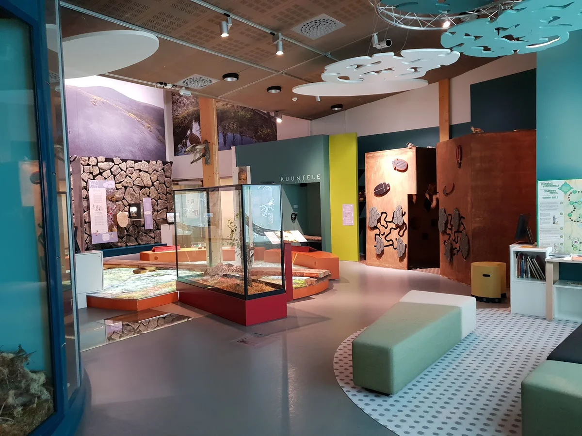 pyh-luosto-visitor-and-culture-center-naava-ask-anything