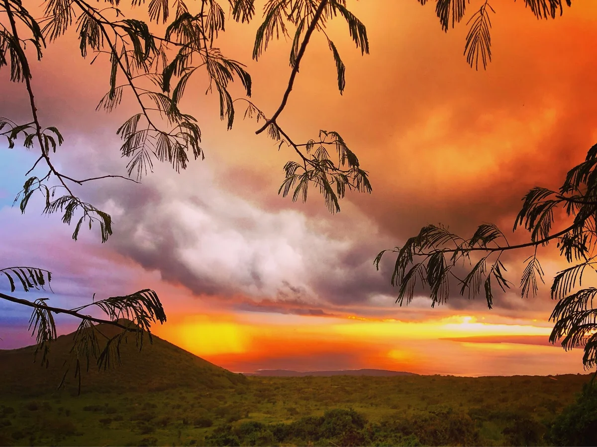 Triple L Ranch Horseback Rides in Makena - Ask AI | mindtrip