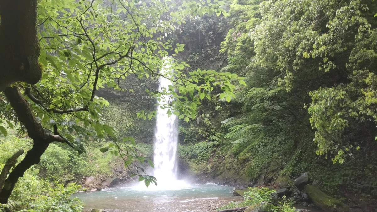 Kobuse falls in Nichinan | What to Know Before You Go