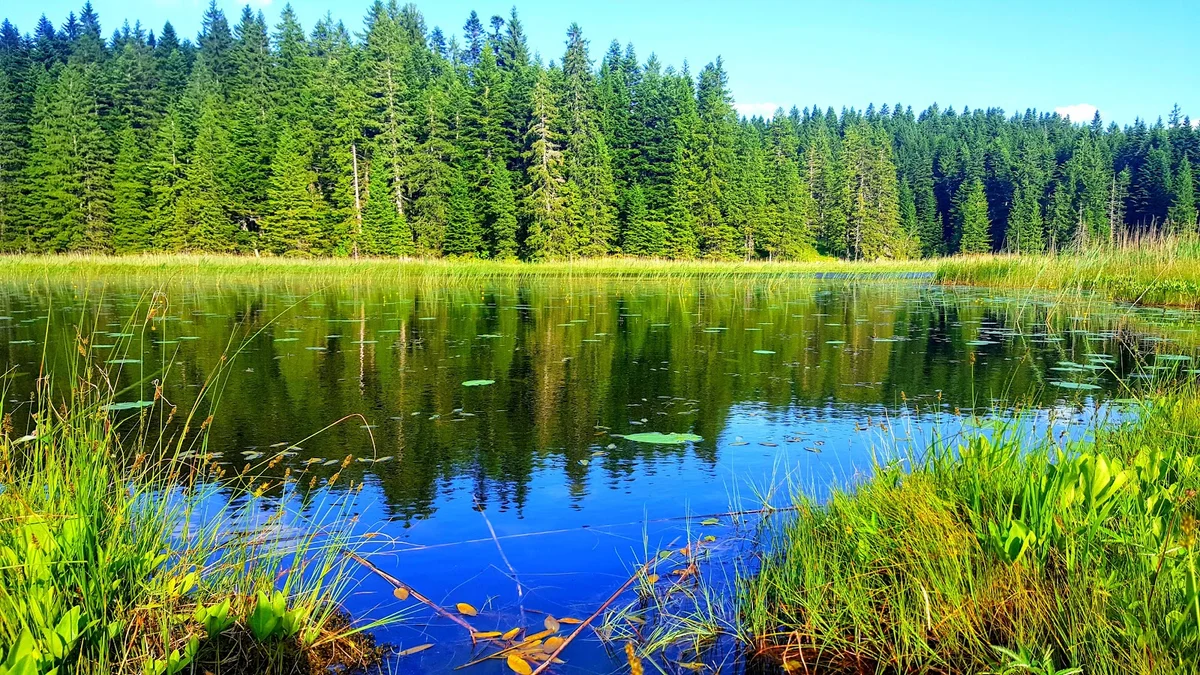 Barno jezero in Zabljak | What to Know Before You Go