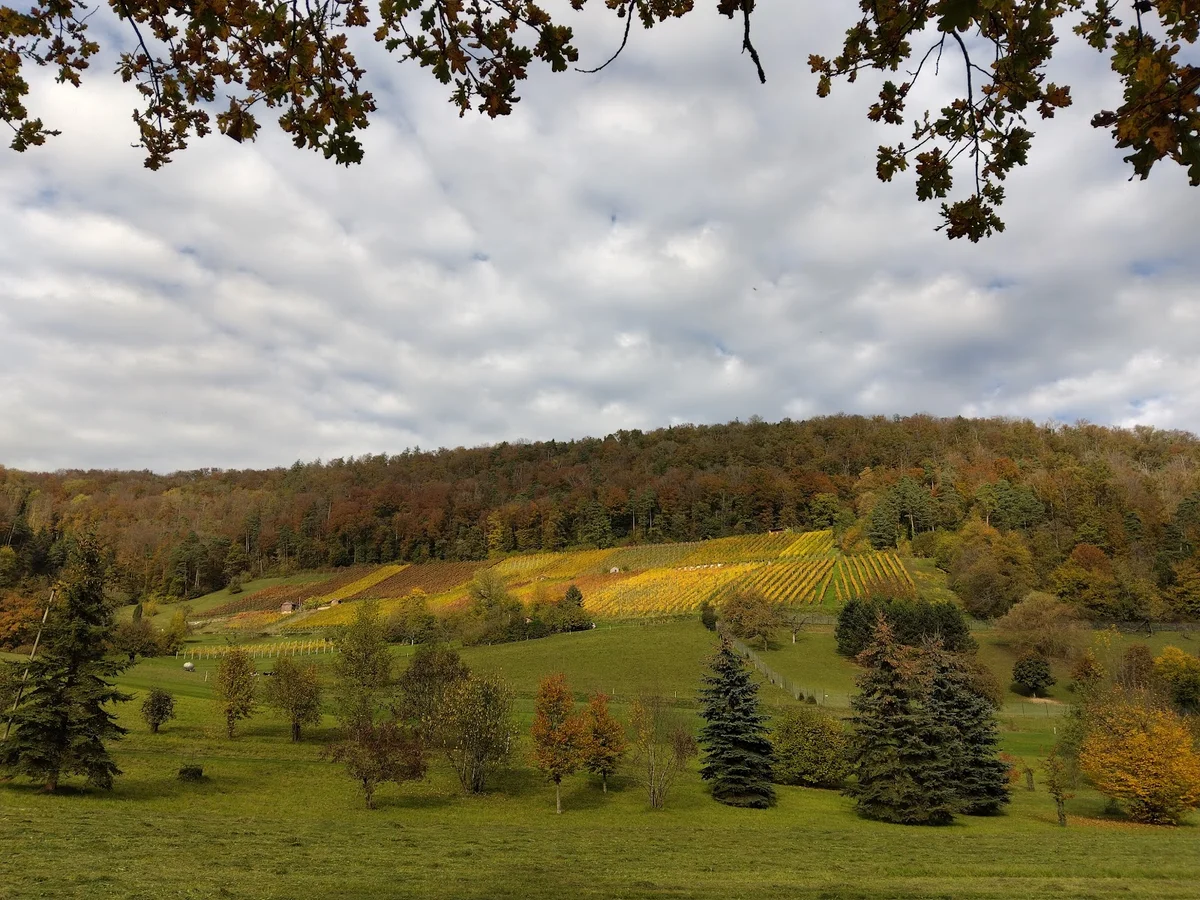 Fricktal in Frick, Aargau | Ask Anything
