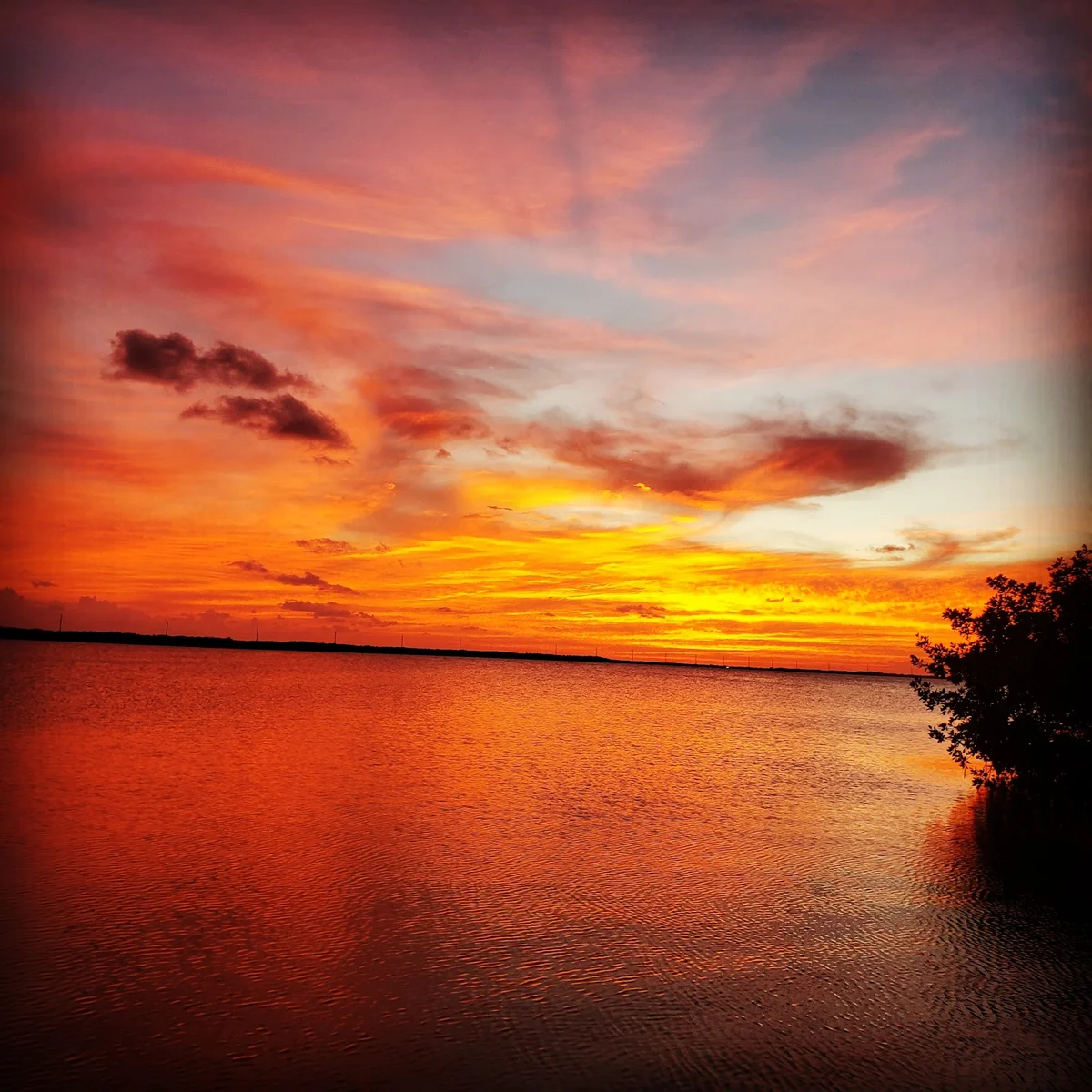 Adams Key in Florida | What to Know Before You Go
