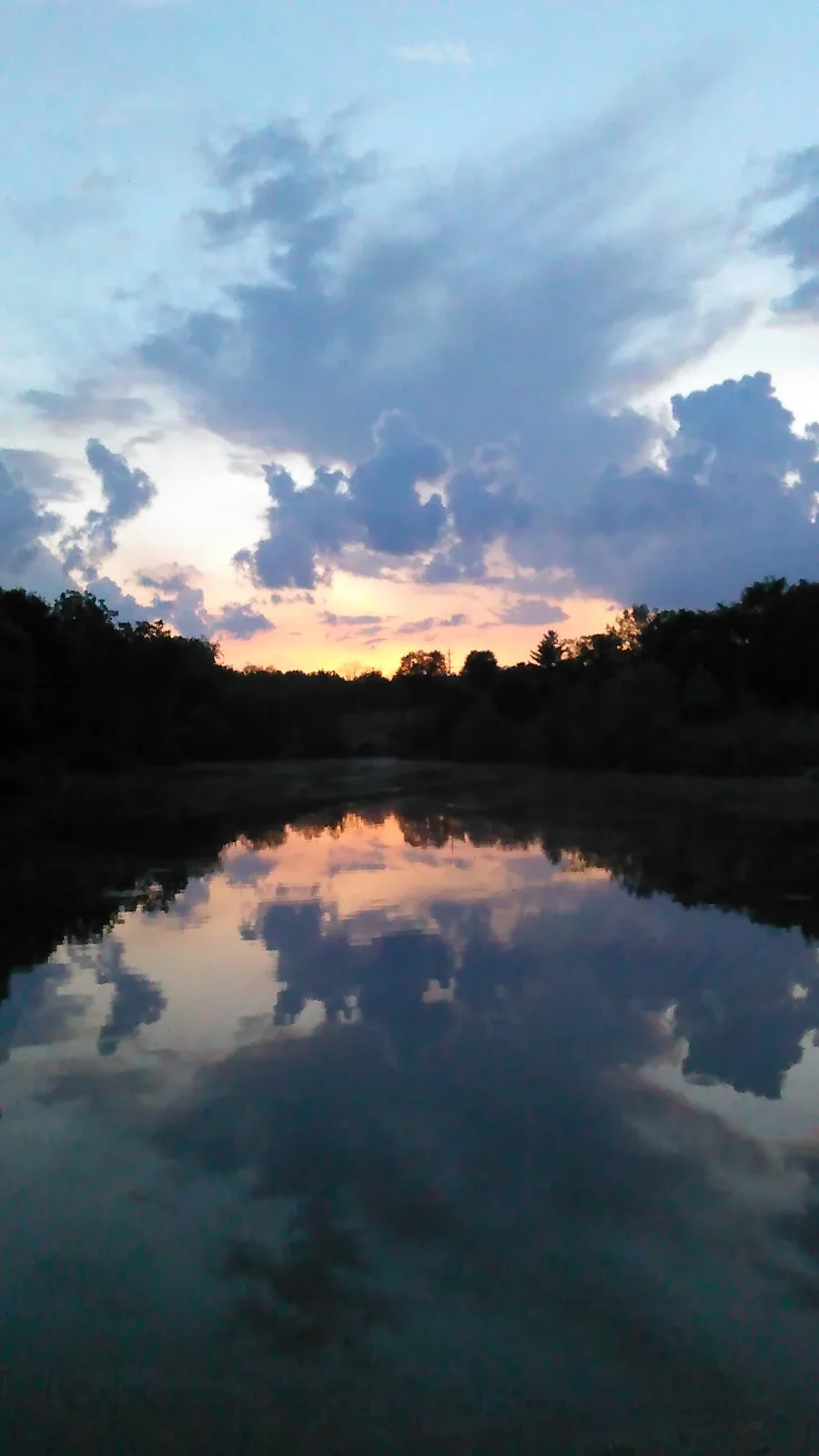 Mills Rd Park in Ryland Heights | What to Know Before You Go