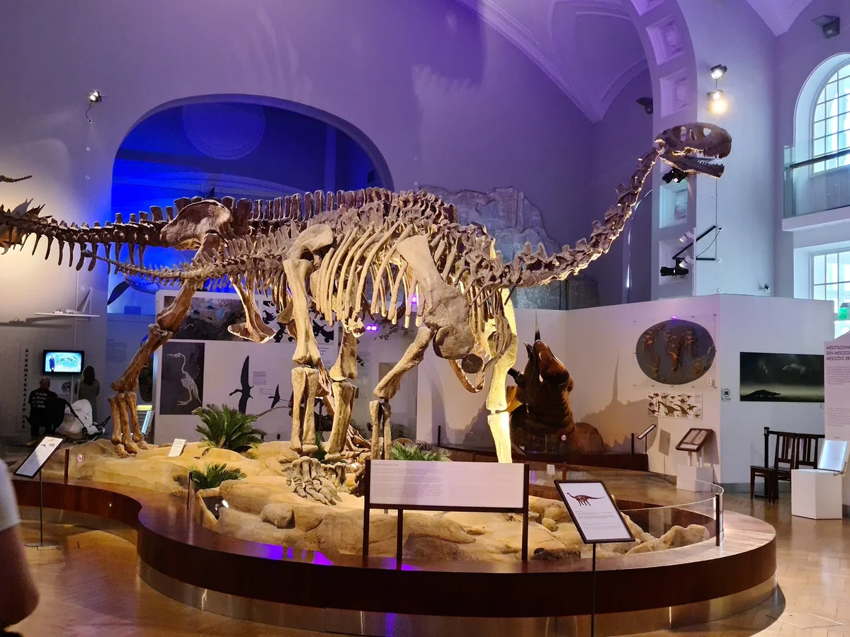 Finnish Museum of Natural History