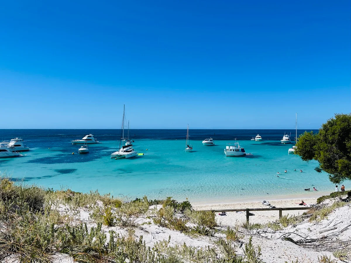Rottnest Island Ferry Terminal | What to Know Before You Go