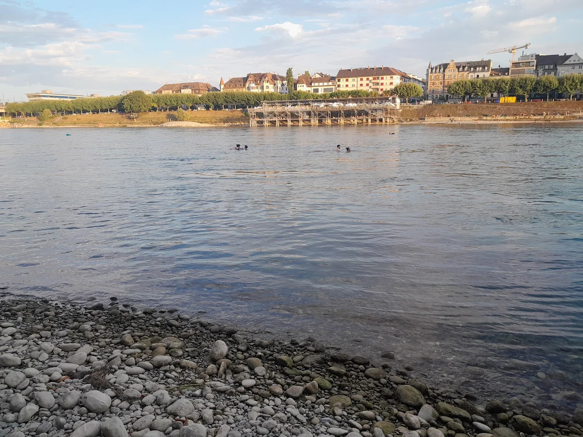 Solitude Park in Basel, Basel-Stadt - Ask AI | mindtrip