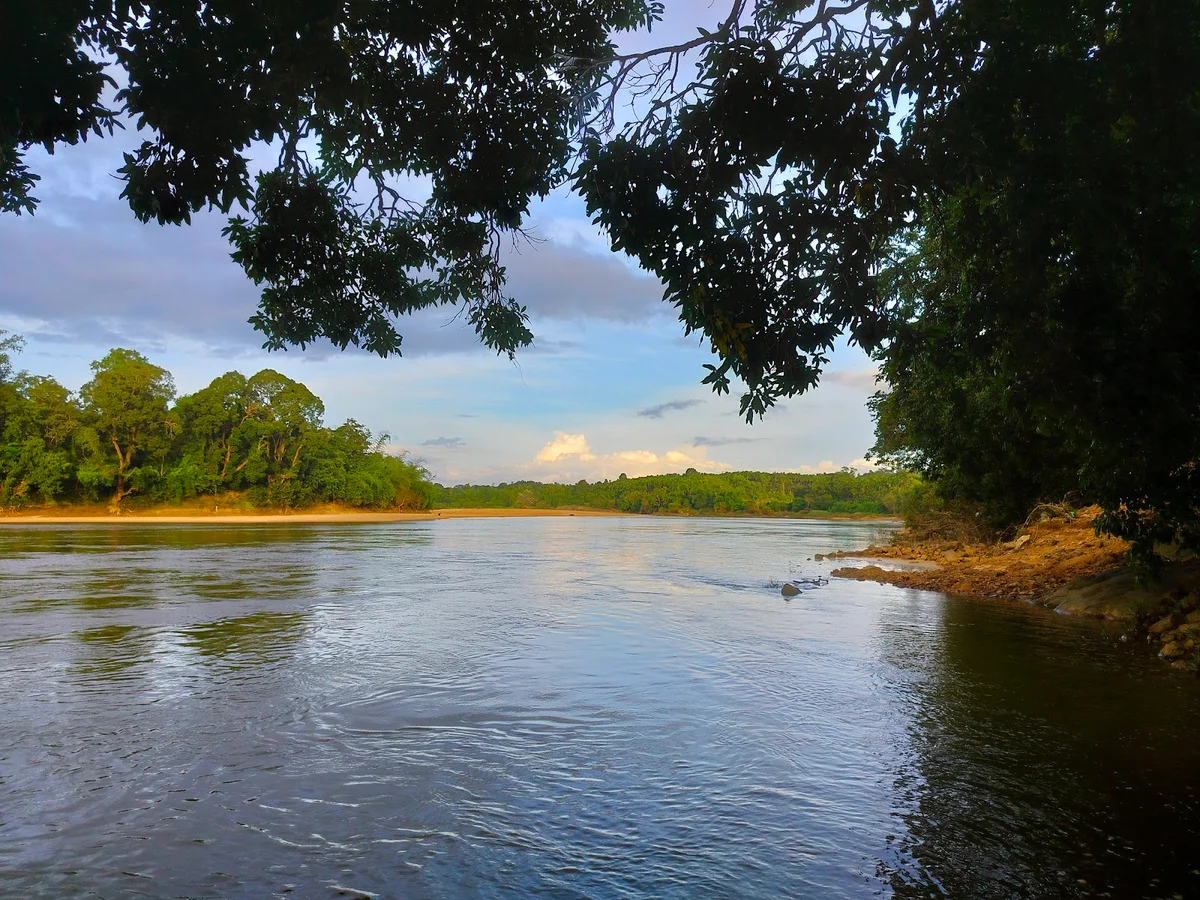 Tunga in Thirthahalli | What to Know Before You Go