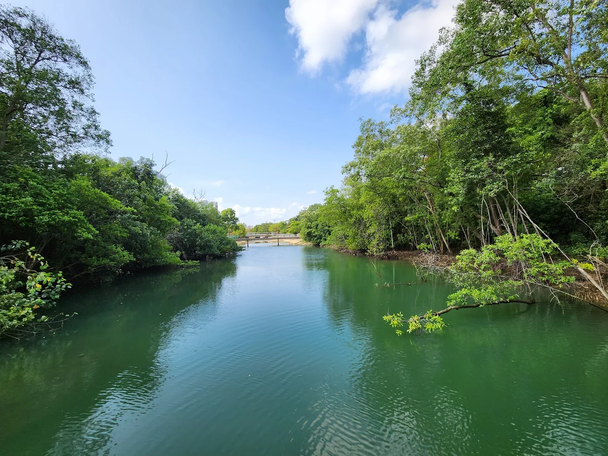 Pasir Ris Bird Watching Tower - Ask AI | mindtrip