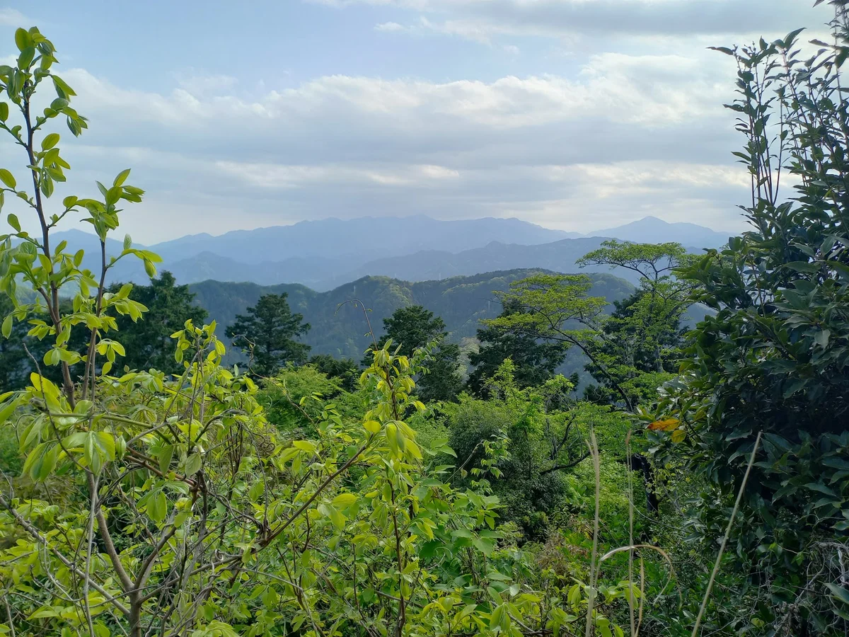 Takao Mountain Trail Inariyama Course - Ask AI | mindtrip