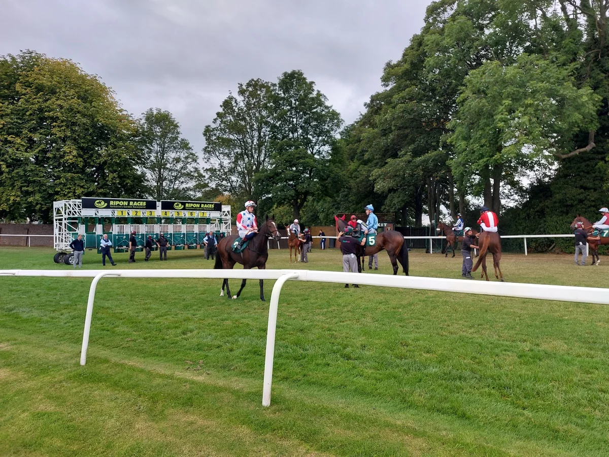 Ripon Racecourse in Ripon, England | Ask Anything