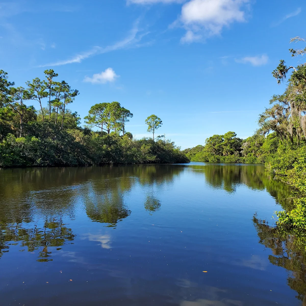 Oscar Scherer State Park in Osprey - Ask AI | mindtrip