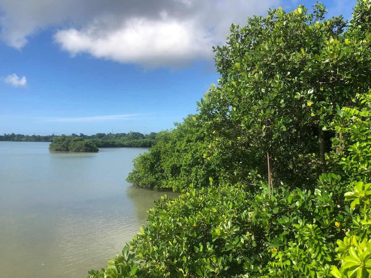 Captain Cook Landing Site | What to Know Before You Go