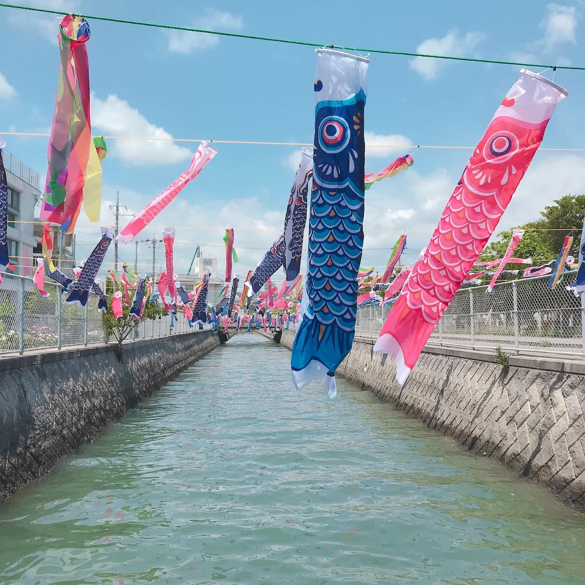 Awase Park | What to Know Before You Go