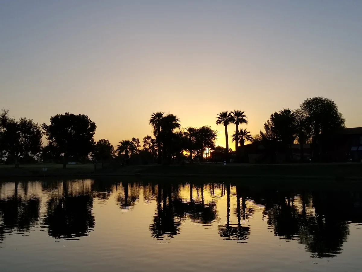 Dobson Ranch Park in Mesa | What to Know Before You Go