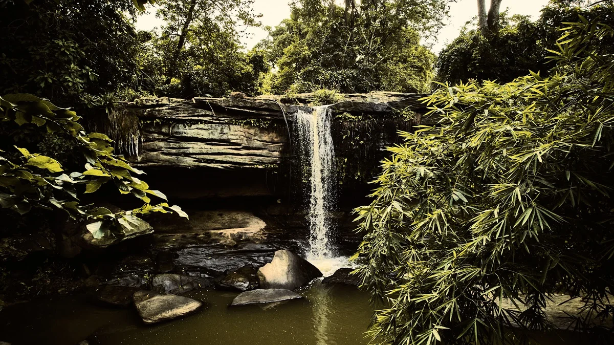 ELEMENT WATERFALL in Gazi, Kwale County - Ask AI | mindtrip