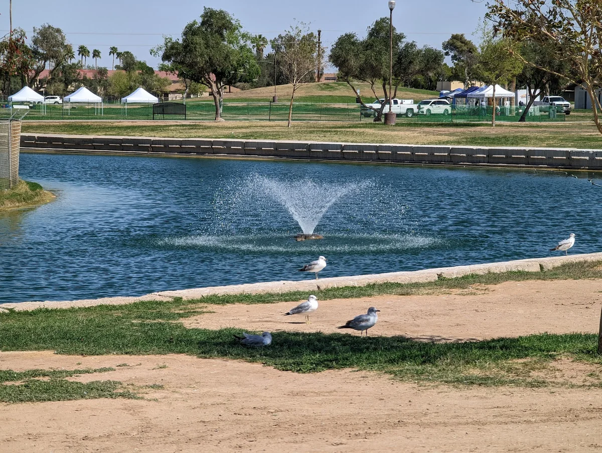 Bucklin Park in El Centro, California - Ask AI | mindtrip