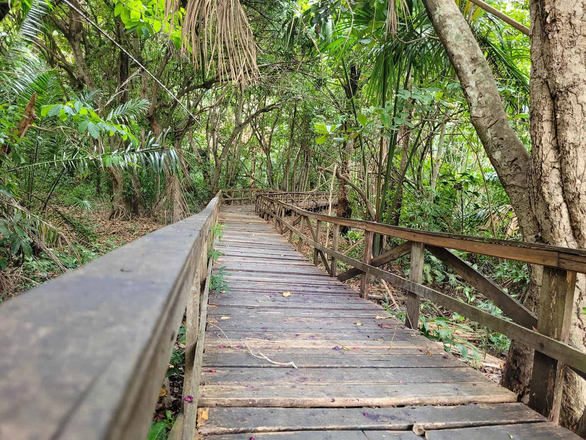 Parque Botânico in Ariquemes | What to Know Before You Go