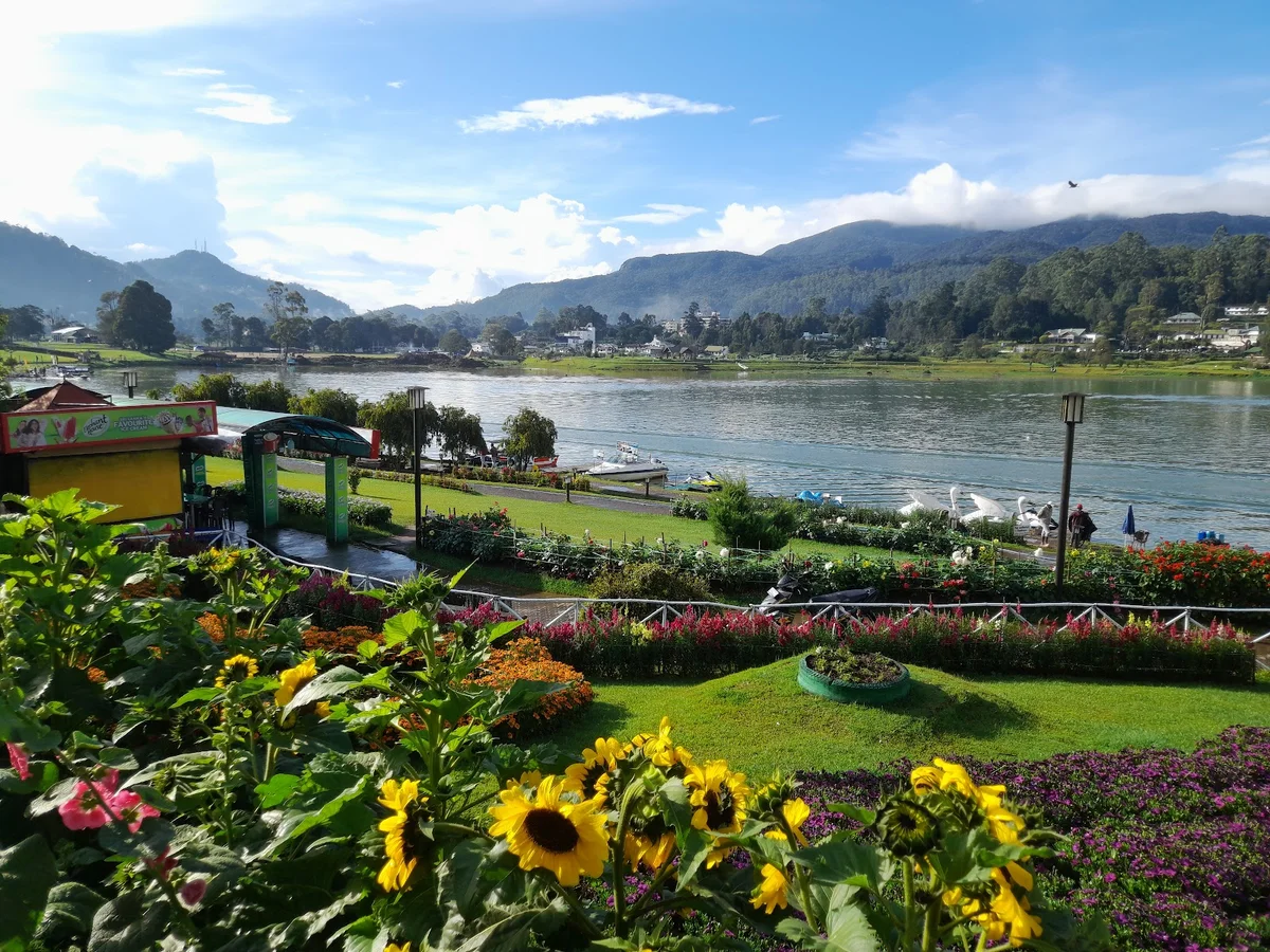 Gregory Park in Nuwara Eliya | Ask Anything