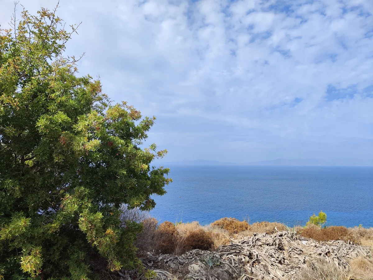 Acropolis of Rhodes in Kritika | What to Know Before You Go