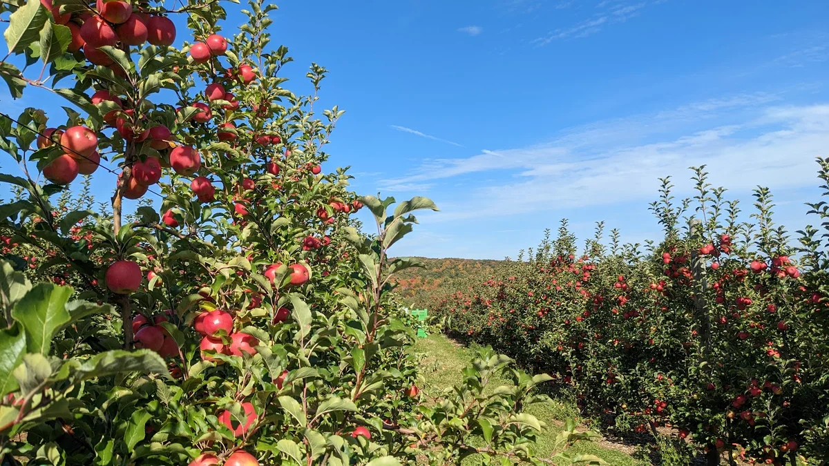 Rogers Orchards - Shuttle Meadow Farm Store