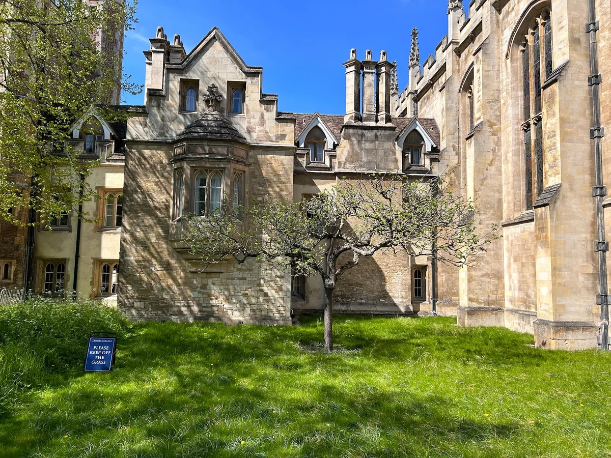 Newton's Apple Tree in Cambridge, England | Ask Anything
