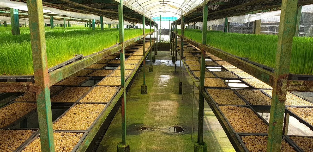 Kin Yan Agrotech Pte Ltd in Singapore - Ask AI | mindtrip
