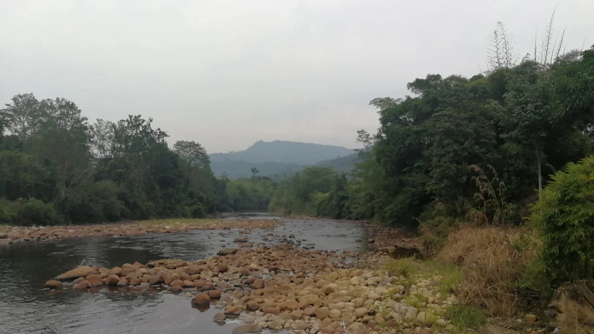 Maligan Forest Reserve in Sabah - Ask AI | mindtrip