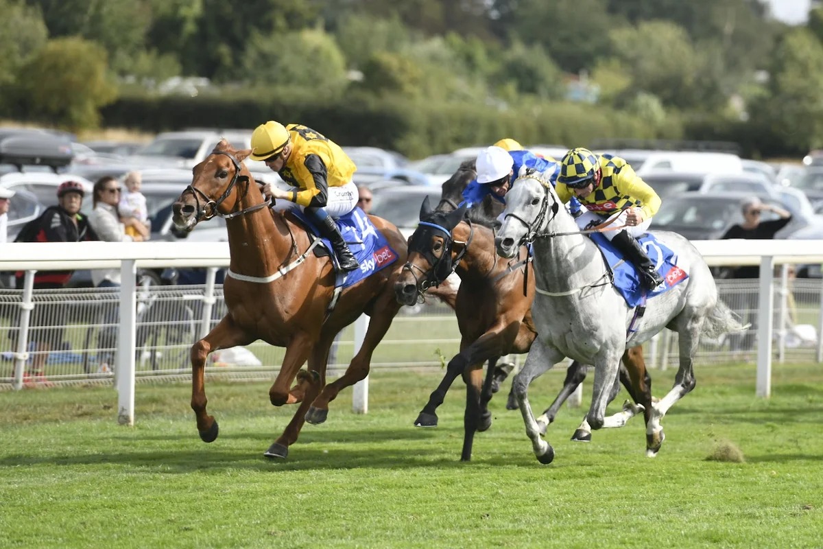 York Racecourse in York, England - Ask AI | mindtrip