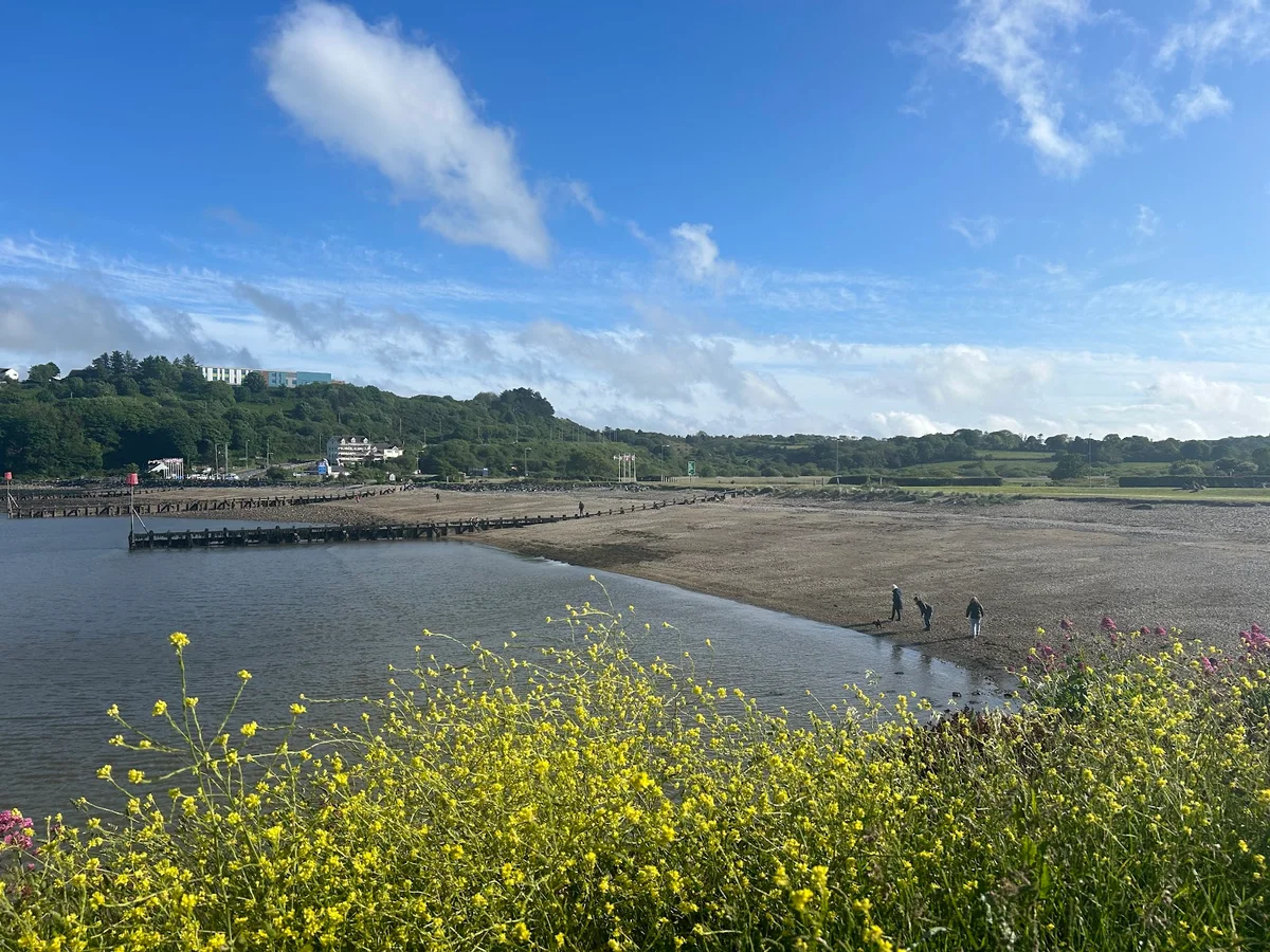 Goodwick Sands in Goodwick | What to Know Before You Go