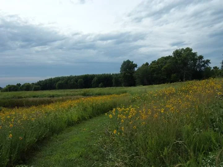 Nipper Wildlife Sanctuary in Loami, Illinois | Ask Anything